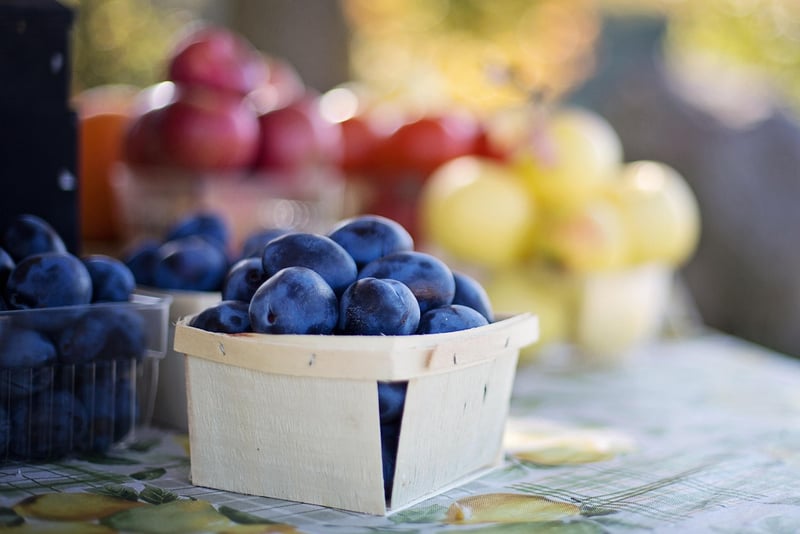 Farm-to-Table Tour